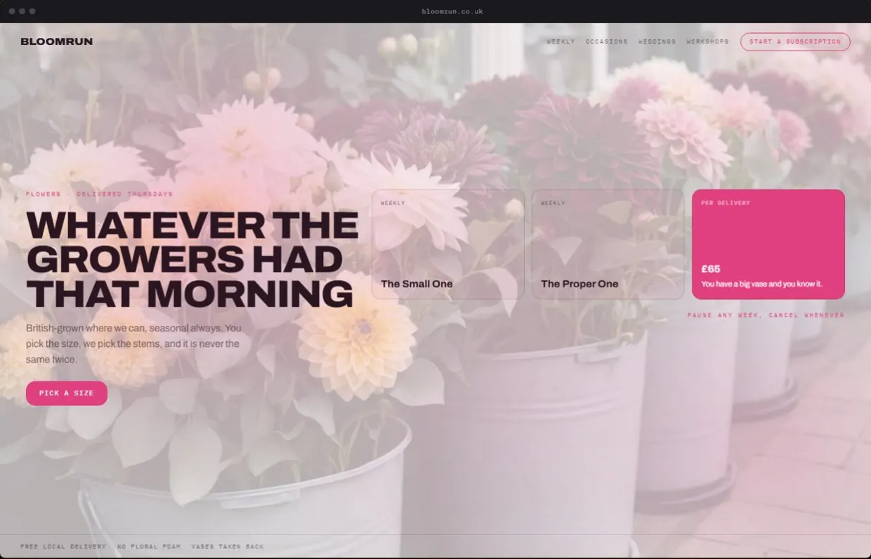 Bloomrun, a finished Yoak Web Design design