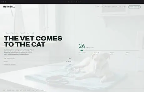 Homecall, a finished Yoak Web Design design