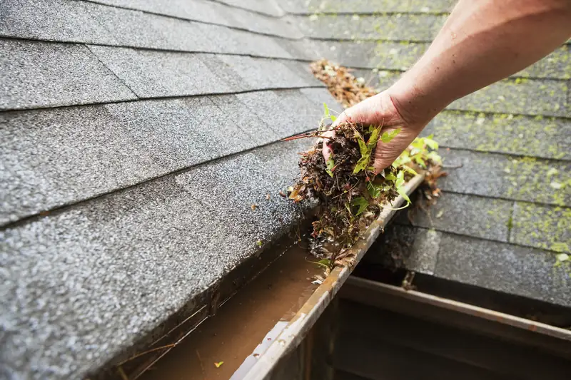 Gutter being cleared of leaves and moss on a house roofline